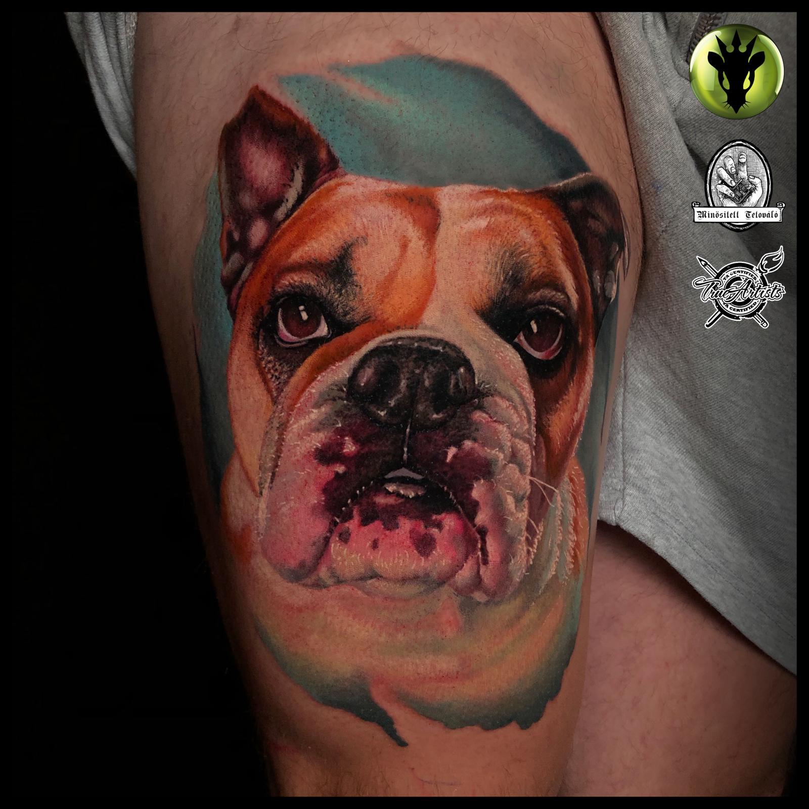 dog portrait bulldog tattoo in color tattoo anansi münchen munich
